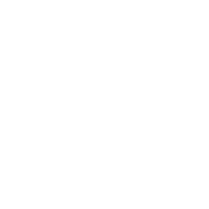 toilet repair